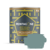 Peintagone METALGONE (Lak Metaal) PE065 BALTIC