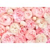 Designwalls DD118522 Roses