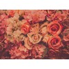 Designwalls DD118524 Flower Wall