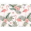 Designwalls DD118580 Tropical Vibes 1